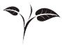 VERTICALGREEN 